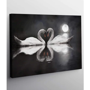 Beyaz Kuğu Kanvas Tablo