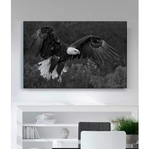 Kartal Kanvas Tablo