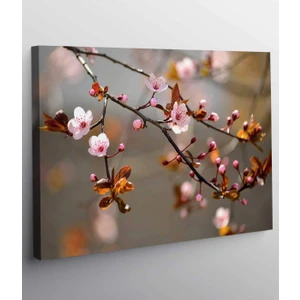 Pembe Çiçek Kanvas Tablo