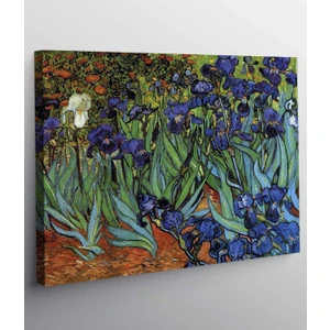 Vincent Van Gogh Bahçe Kanvas Tablo