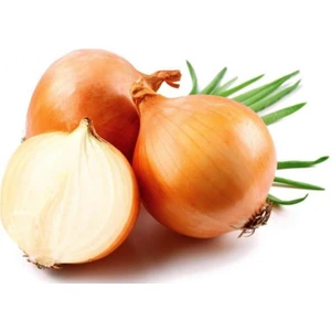 500 Adet Soğan Tohumu +   Tohum