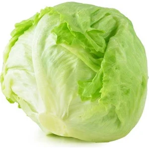 10 Adet Göbek Marul Tohumu Iceberg Aysberk Tohumu +   Tohum