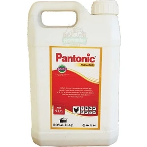 Royal Pantonic 5 Lt