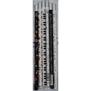 6 Adet Manyetik Başlıklı Kurşun Kalem