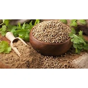 Kocabıyık Baharatları Kocabıyık Kişniş Tane