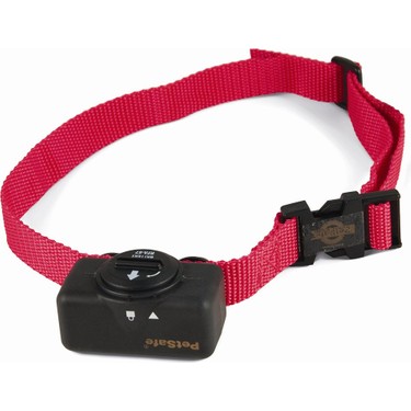 Pet safe 2025 dog collar