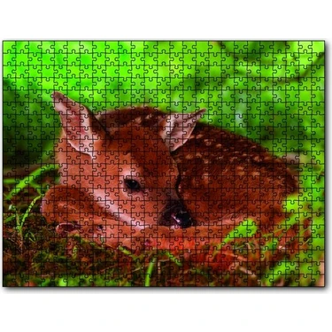 Cakapuzzle Orman Patikasında Anne Ceylan ve Yavruları Puzzle
