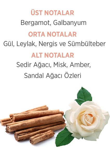 Fresh Bouquet Set modelleri