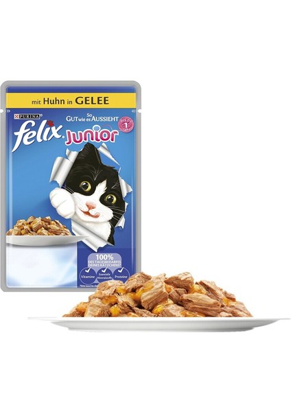 Felix Karışık Çeşitli Pouch Yetişkin Kedi Yaş Maması 20 x 100 G