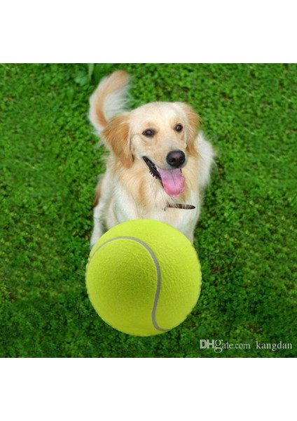 Tenis Topu Köpek Oyuncağı 1 Adet 648