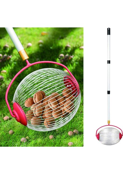 Ayarabenut Toplayıcı Somun Hasat Golf Topları Teleskoping Kutup Kestane Küçük Meyve ile Manuel Araçları Toplayıcı (Yurt Dışından) indirimleri