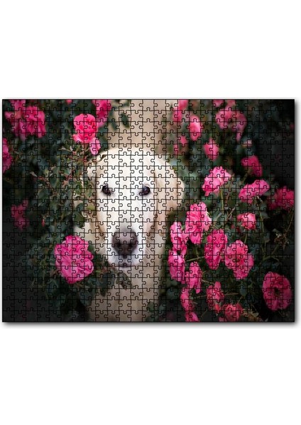 Cakapuzzle Beyaz Golden Retriever Çiçekler Arasında 500 Parça Puzzle Yapboz Mdf (Ahşap)