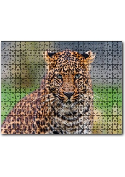 Cakapuzzle Genç Leopar 255 Parça Puzzle Yapboz Mdf (Ahşap)