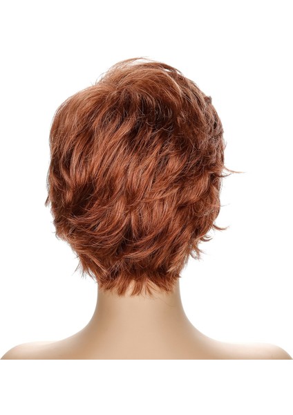 Peruk (Yurt Dışından) fiyatları