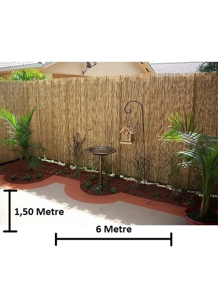 Bambu Kamış Hasır 1,50 Metre x 6 Metre