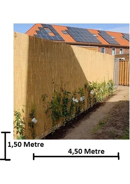 Bambu Kamış Hasır 1,50 Metre x 4,50 Metre