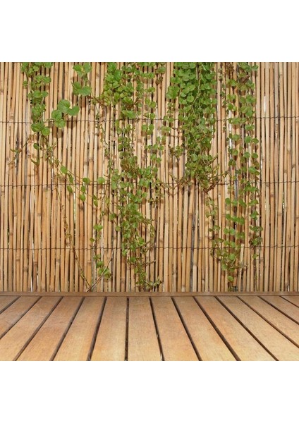 Bambu Kamış Hasır 1,50 Metre x 4,50 Metre fiyatları