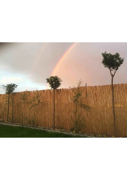 Bambu Kamış Hasır 1,20 Metre x 4,50 Metre indirimleri