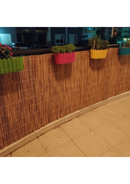 Bambu Kamış Hasır 1 Metre x 5 Metre