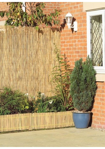 Bambu Kamış Hasır 1 Metre x 4,50 Metre