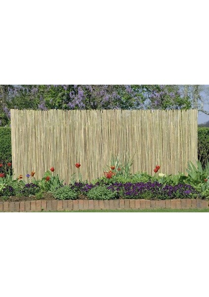 Bambu Kamış Hasır 1 Metre x 3 Metre fiyatları