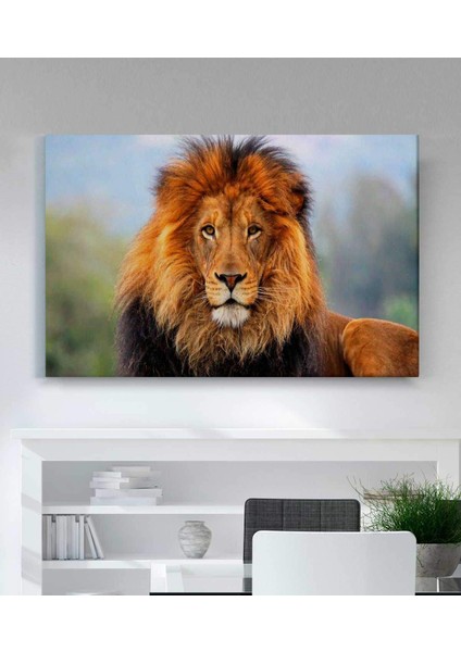 Aslan Kanvas Tablo