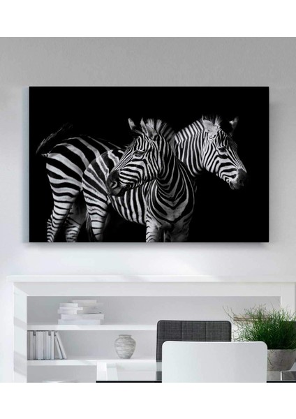 Zebra Dekoratif Kanvas Tablo