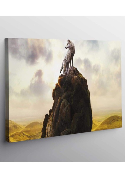 Kurt Kanvas Tablo fiyatları