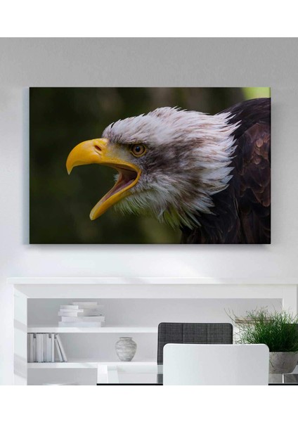 Kartal Kanvas Tablo