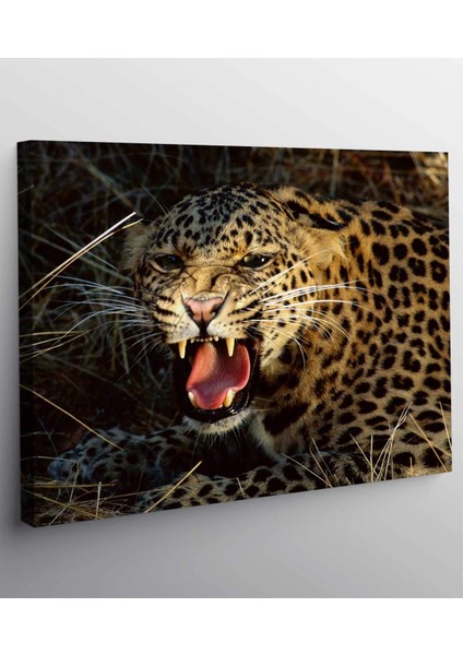 Leopar Kanvas Tablo fiyatları