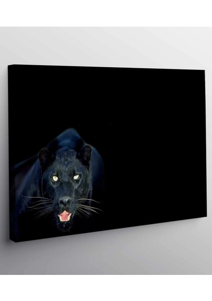 Siyah Panter Kanvas Tablo