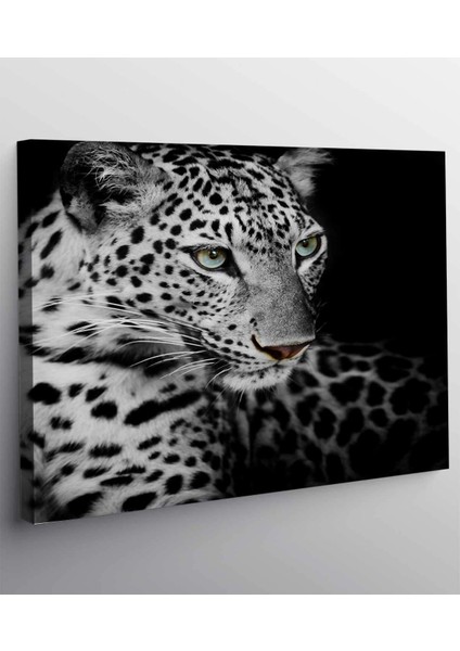 Leopard Kanvas Tablo
