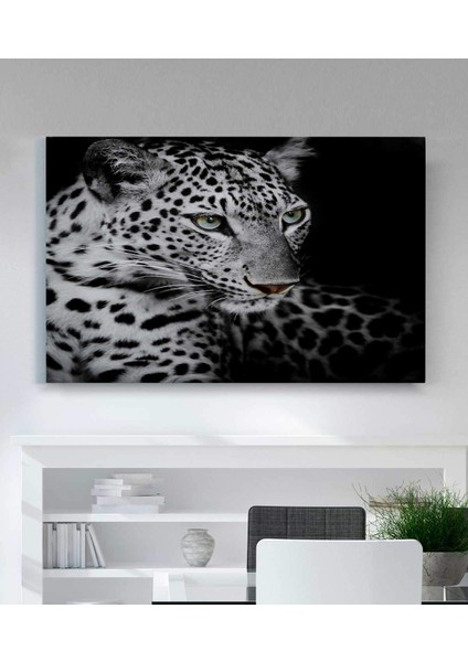 Leopard Kanvas Tablo fiyatları