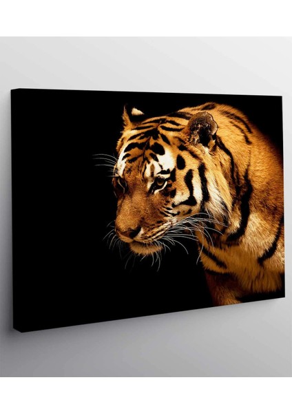 Leopar Kanvas Tablo