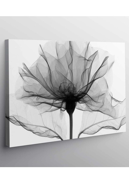 Çiçekli Modern Kanvas Tablo fiyatları