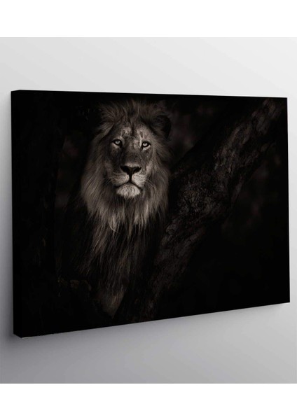 Aslan Kanvas Tablo fiyatları