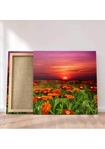 Günbatımı Çiçek Tarlası Kanvas Tablo fiyatları