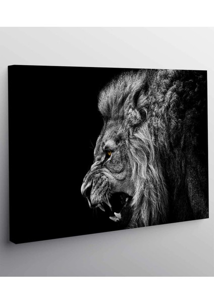 Aslan Kanvas Tablo fiyatları