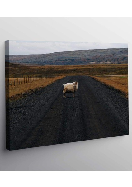 Koyun Koç Yol ve Toprak Kanvas Tablo