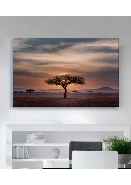 Günbatımı Ağaç Manzara Kanvas Tablo fiyatları