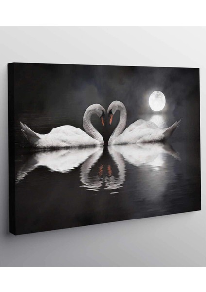 Beyaz Kuğu Kanvas Tablo