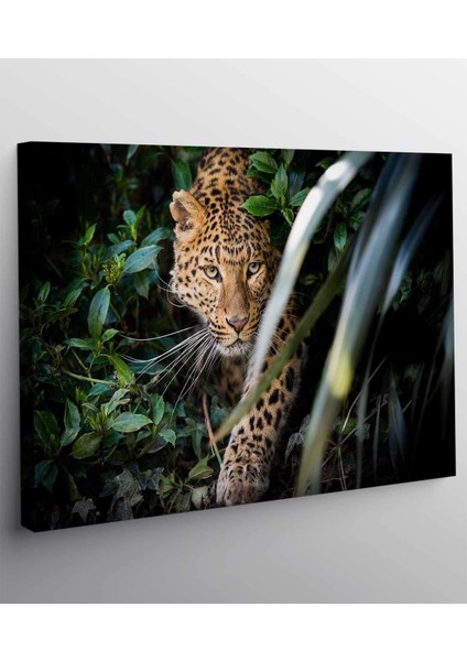 Leopar Sanat Kanvas Tablo fiyatları