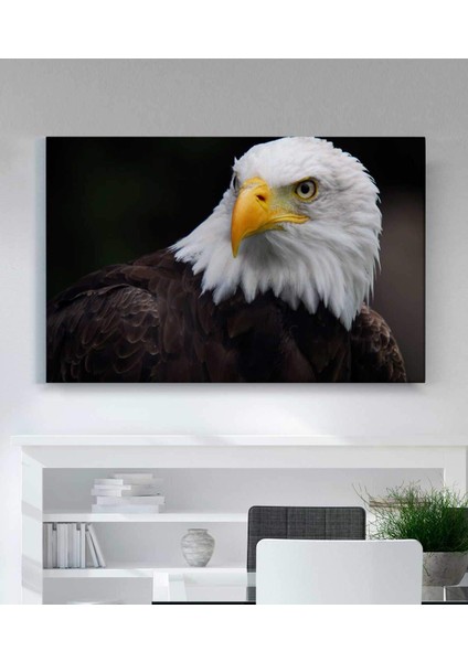 Kartal Kanvas Tablo