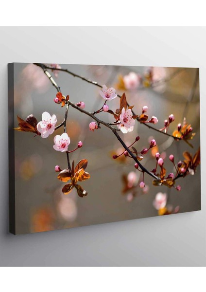 Pembe Çiçek Kanvas Tablo