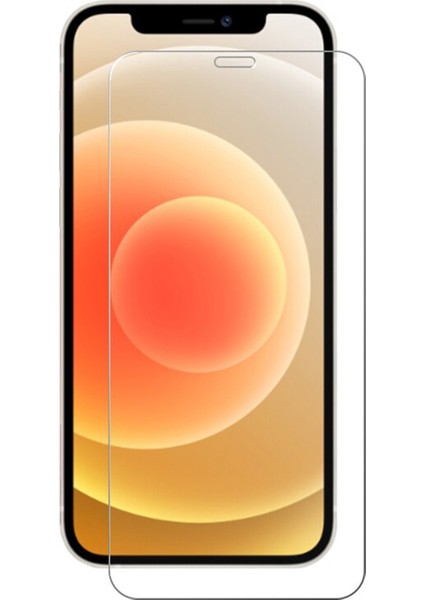 iphone 13 Pro Max 5d Cam Ekran Koruyucu Şeffaf