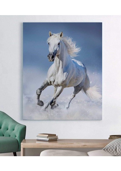 Koşan Yalnız At Kanvas Tablo