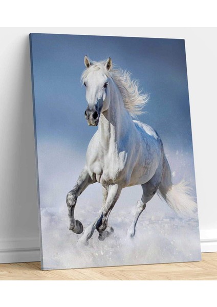Koşan Yalnız At Kanvas Tablo fiyatları