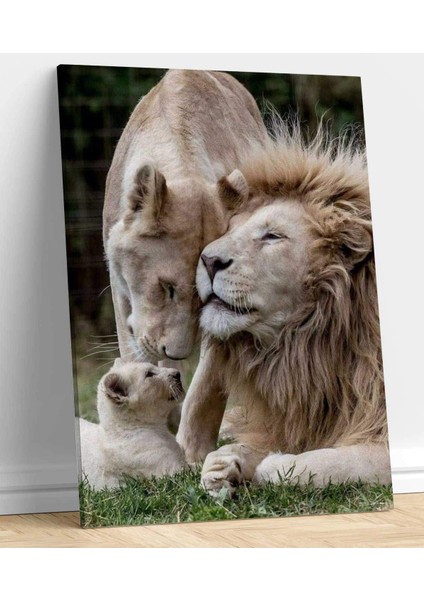 Aile Aslan Kanvas Tablo fiyatları