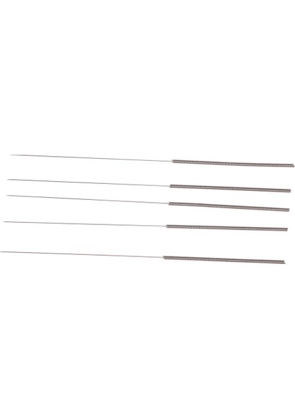 5 Adet Paslanmaz Çelik Bükülebilir 3D Yazıcı Meme Temizleme Matkap Iğne 0.2mm (Yurt Dışından)