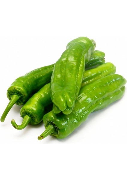 250 Adet Üçburun Biber Tohumu + Tohum fiyatları